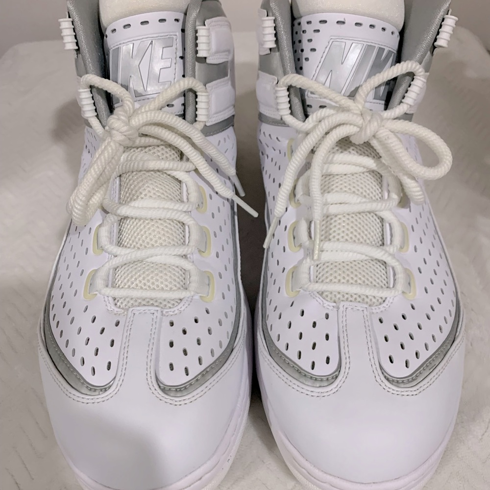 Nike Air Darwin size 12